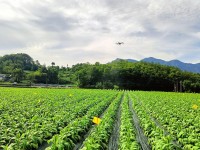 构建多元化产业体系，湖北秭归烟草助力农民致富、乡村振兴