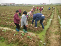 不负时光忙田管产业发展助振兴